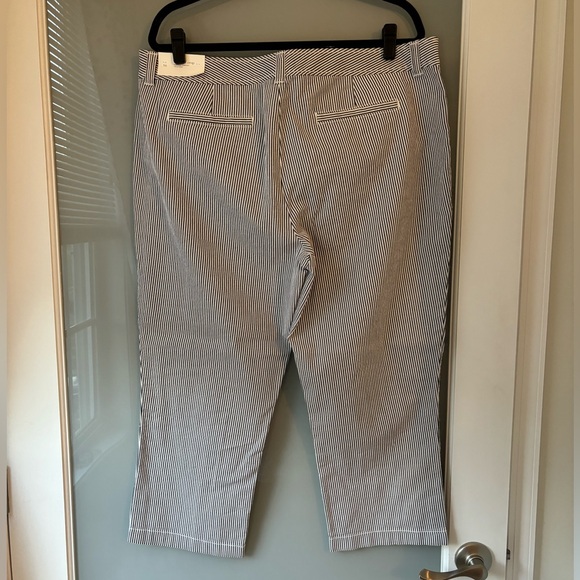 Ann Taylor Loft Seersucker blue stripe Capri pants 16 - Picture 3 of 5